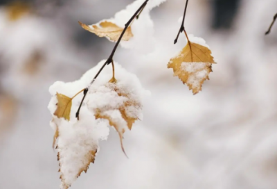 ​关于愁的名句