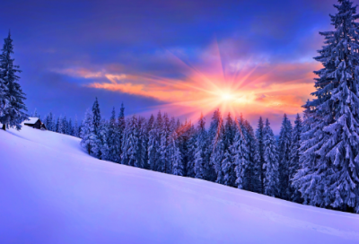 ​保护环境格言