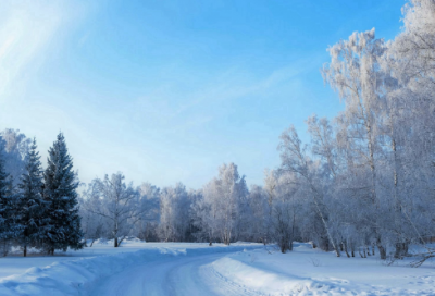 ​关于战争的名言