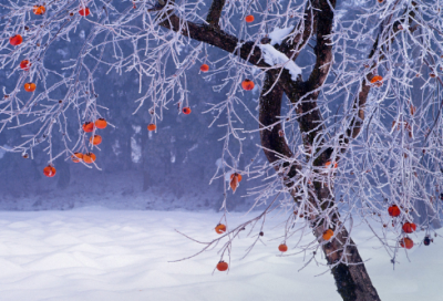 ​关于灵感的名言警句