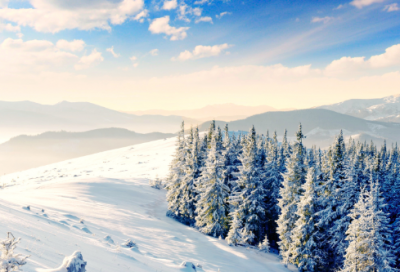 ​保育员教育格言