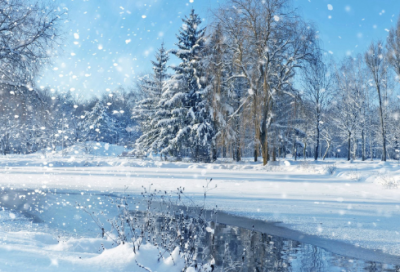 ​关于合作的名言