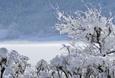 ​关于爱惜时间的名言