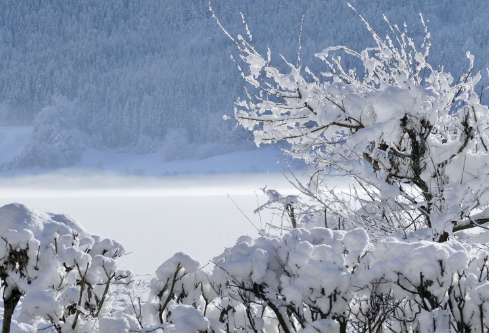 1688670160526435.png image.png