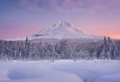 ​关于文明礼仪的名言