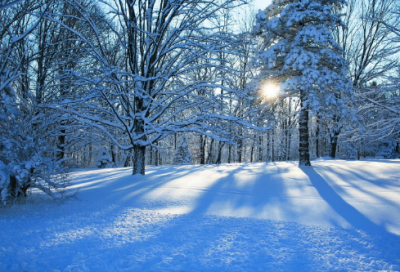 ​关于意志的名言