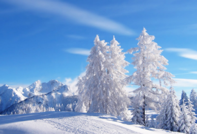 ​关于坚持的英文格言