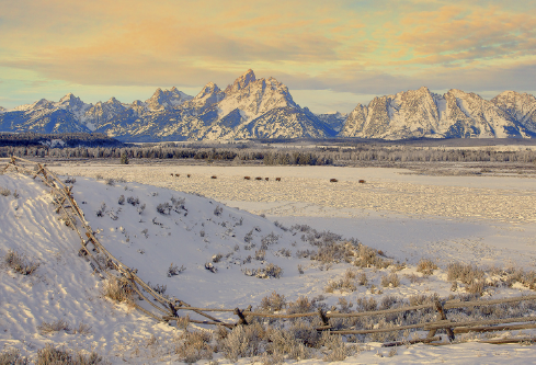 1688672809981101.png image.png