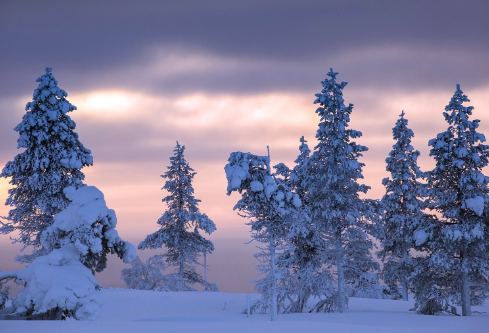 1688672975198299.png image.png