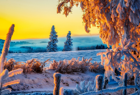 1688673141585449.png image.png