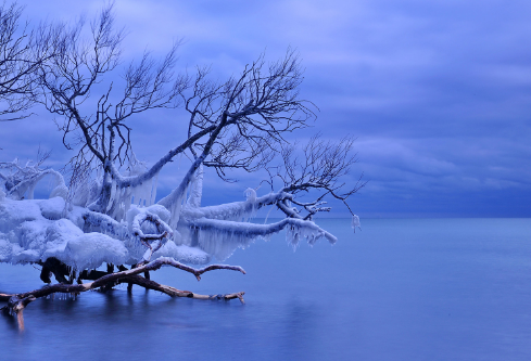 1688673307846688.png image.png