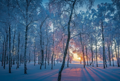 ​做人的名人名言大全