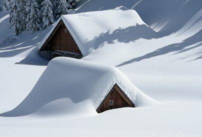 ​关于珍爱生命的名言