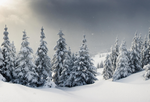 1688675128899437.png image.png