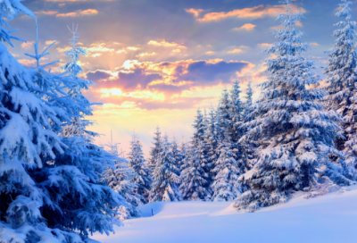 ​关于爱的名言