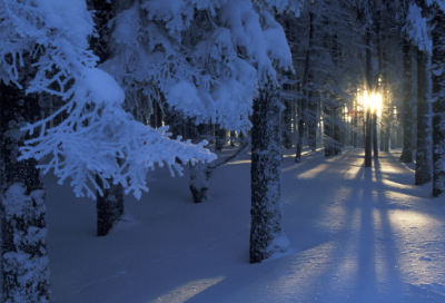 ​关于梦想的名言警句