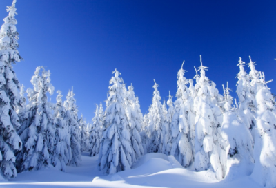 ​关于微笑的格言