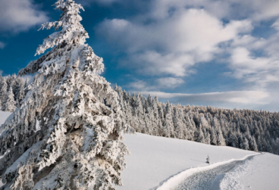 ​关于奋斗的名言名句