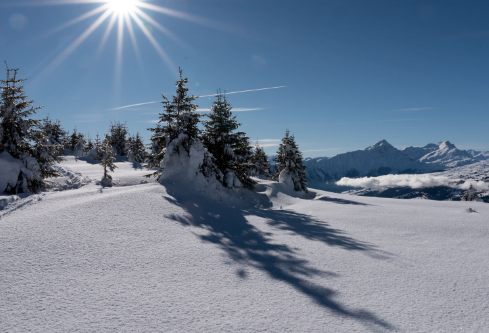 1688678108979385.png image.png