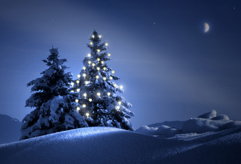 1688678605443575.png image.png