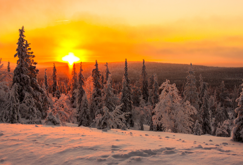 1688678770645327.png image.png