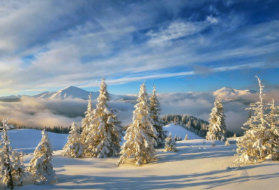 ​人生格言语录