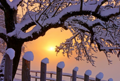 ​关于父亲至理的名言