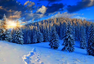 ​关于宽容的名人名言名句