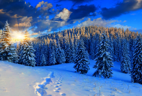 1688680426852641.png image.png