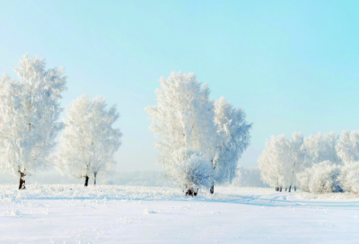 ​关于留学的名言