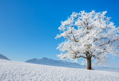 ​关于朋友的名人名言警句