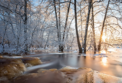 ​关于体育的名言警句名句警句