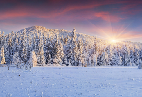 1688682081625806.png image.png