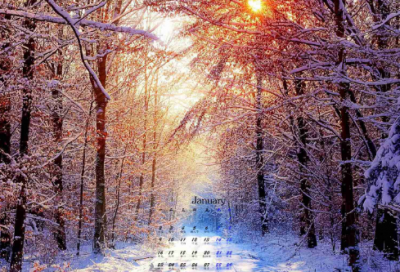 ​关于桂花的名言名句