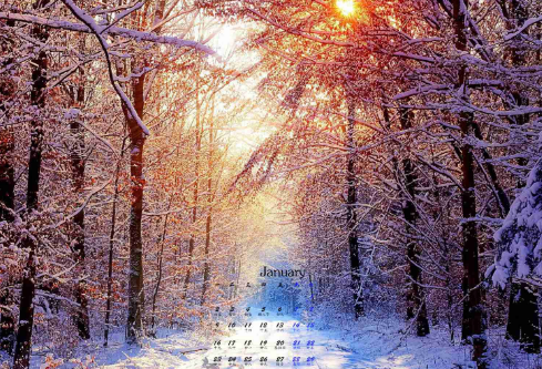 1688682247699533.png image.png