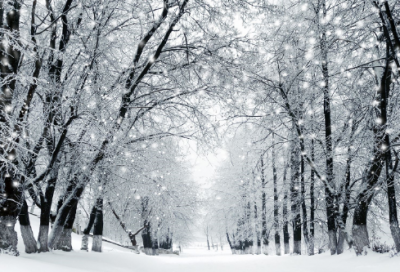 ​40句有关光明与黑暗名言