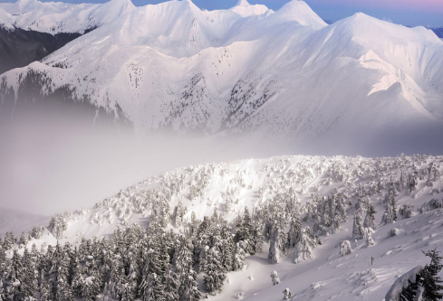 1688682909651489.png image.png