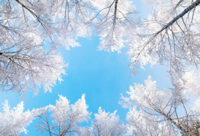 ​人生给予爱的名人名言