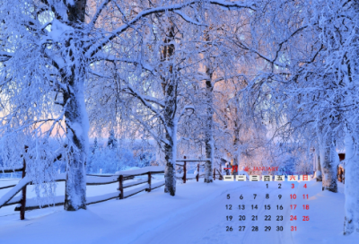 ​关于热爱生命的名人名言