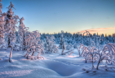 ​关于抓住机遇的名人警句