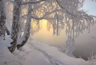 ​40条有关努力学习的格言警句