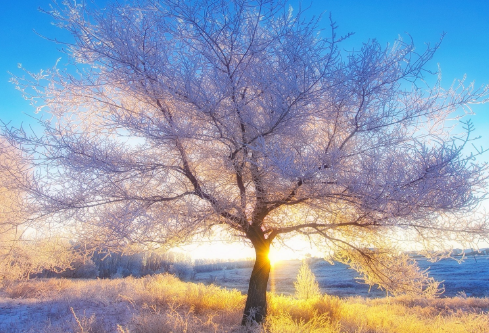 1688688371390317.png image.png