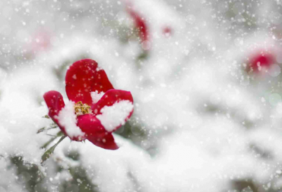 ​关于尊敬老师的名言