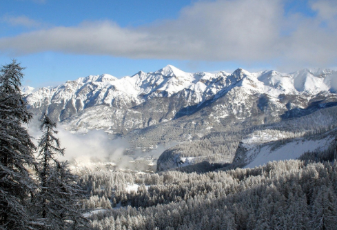 1688689364987521.png image.png