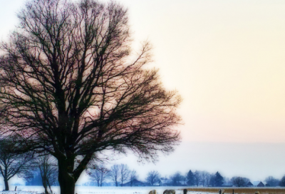 ​关于幸运的格言