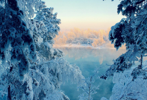 1688692178160584.png image.png