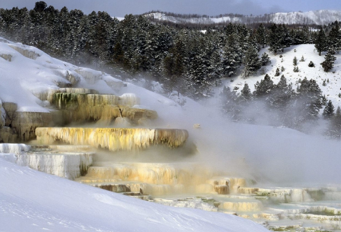 1688692509970611.png image.png