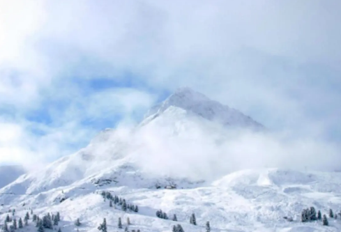 1688693005660517.png image.png