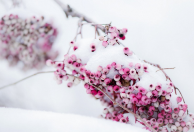 ​关于感恩的励志读书名言警句