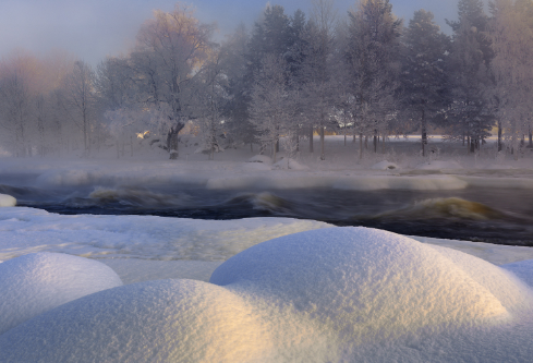 1688696976568908.png image.png